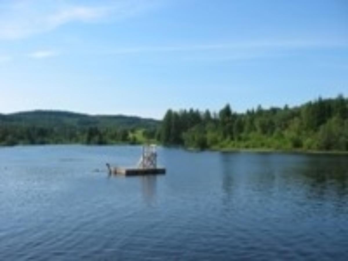 theisendammen 200x150.jpg